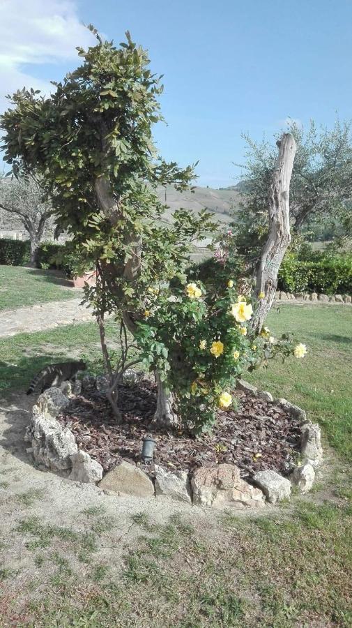Agriturismo Casa Al Povero Volterra Exteriér fotografie